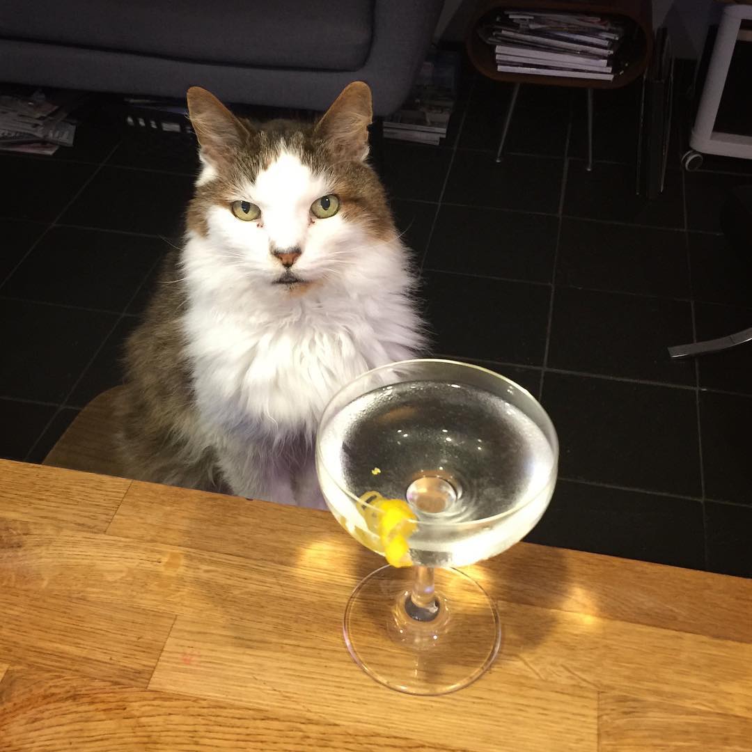 Puuurfect Martini