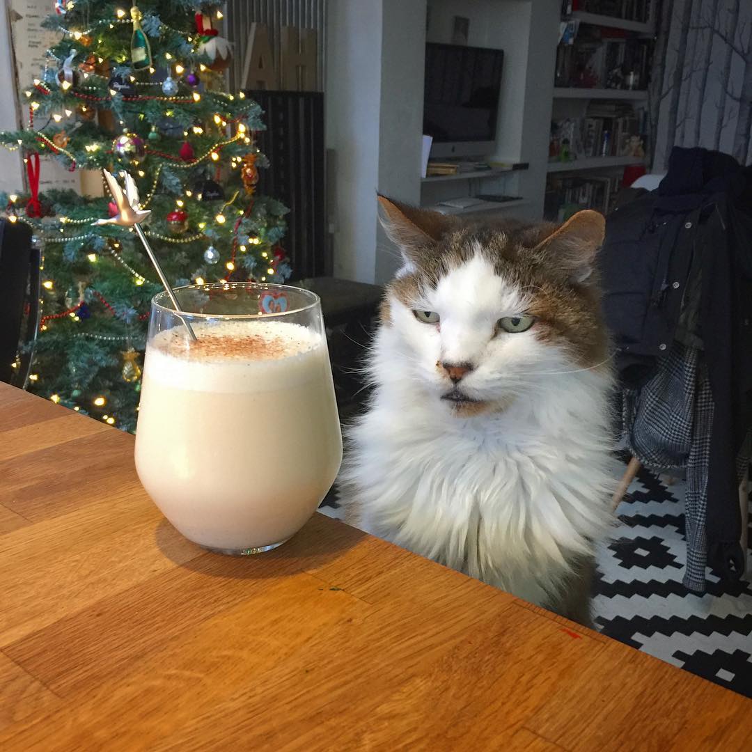 It is snowing outside. We made Eggnog.