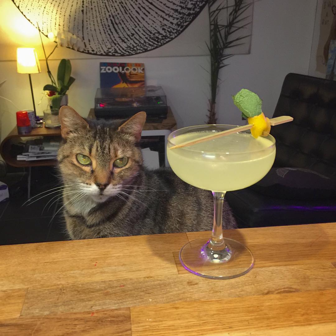 Midweek Corpse Reviver No.2