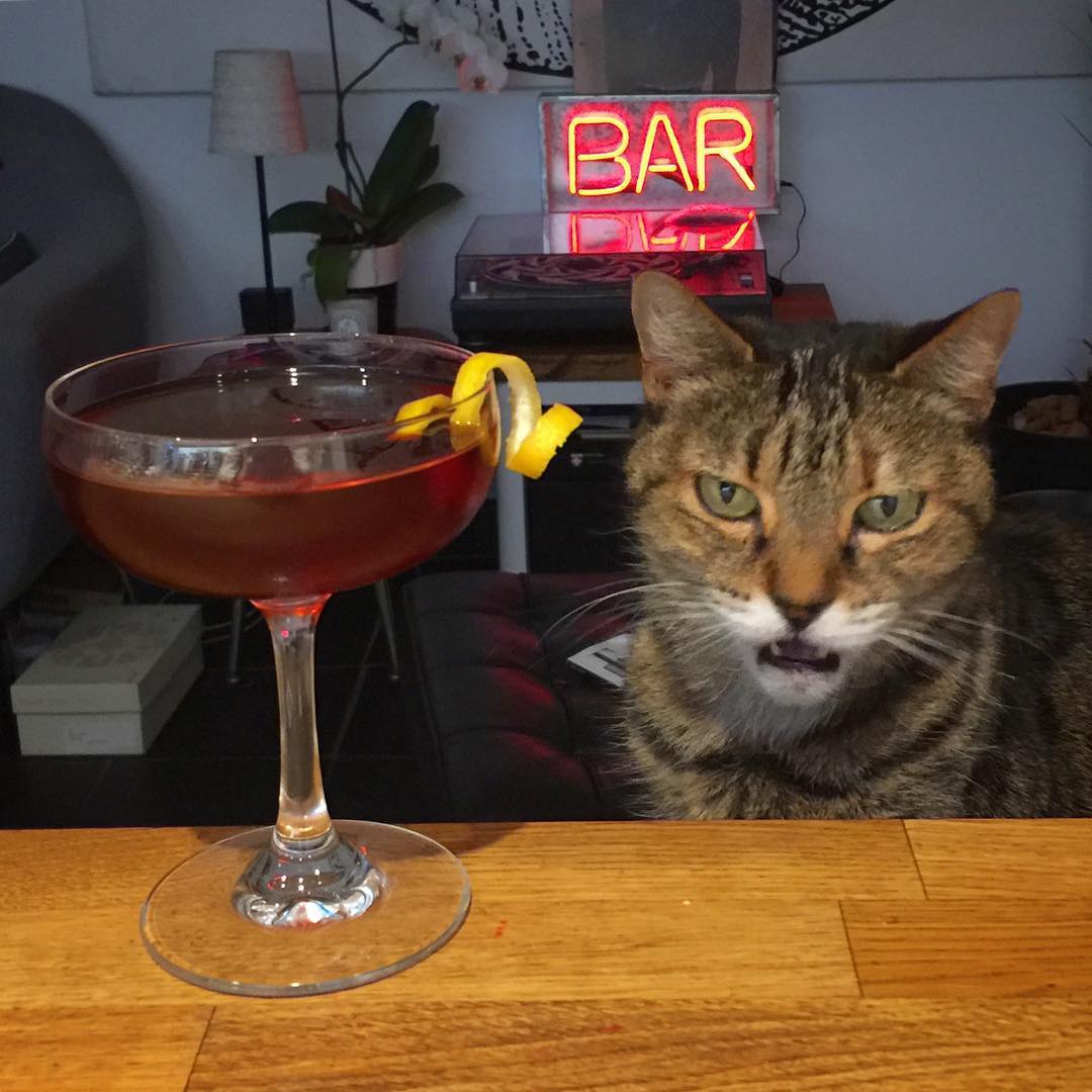 A Monday Turf Cocktail