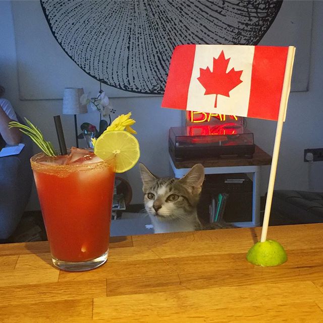 Canada Day Bloody Caesar